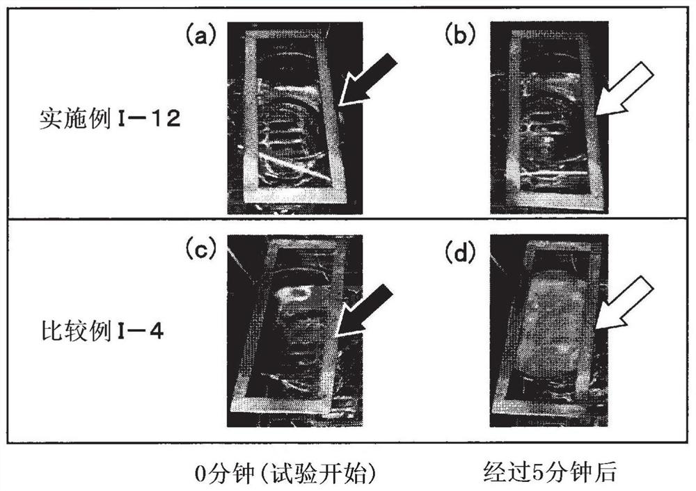 Coating composition and Anti-fog member, Anti-fouling member, laminate and Anti-bacterial product using same