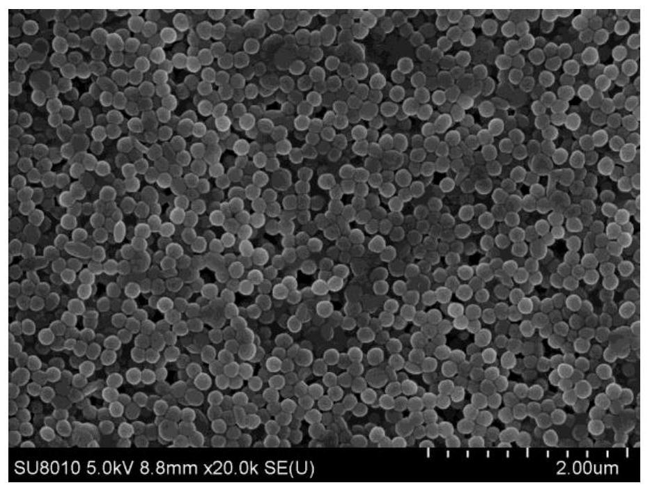 A composite microporous membrane containing nanofibrous porous layers oriented along the transverse stretching direction