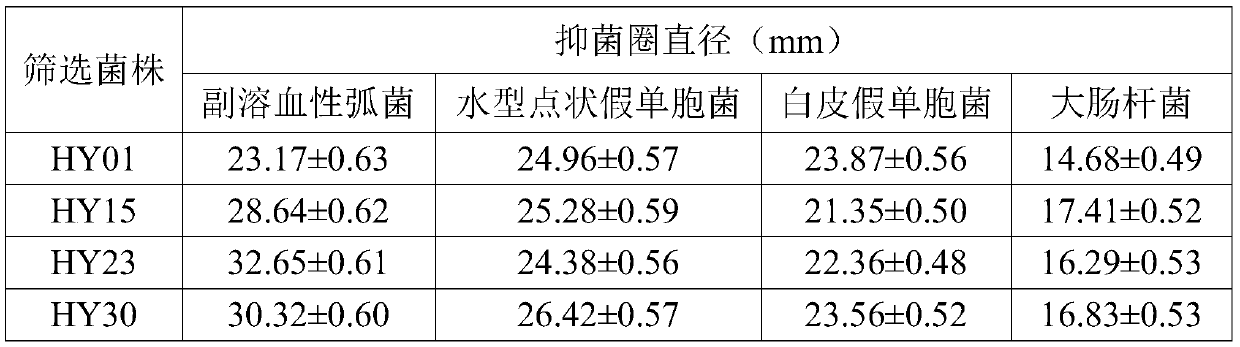 Brevibacillus laterosporus and application thereof