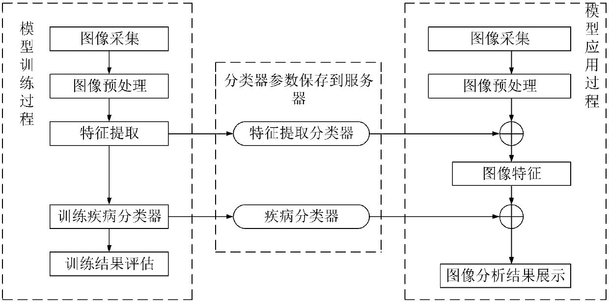 Method and system for detection based on brain medical imaging