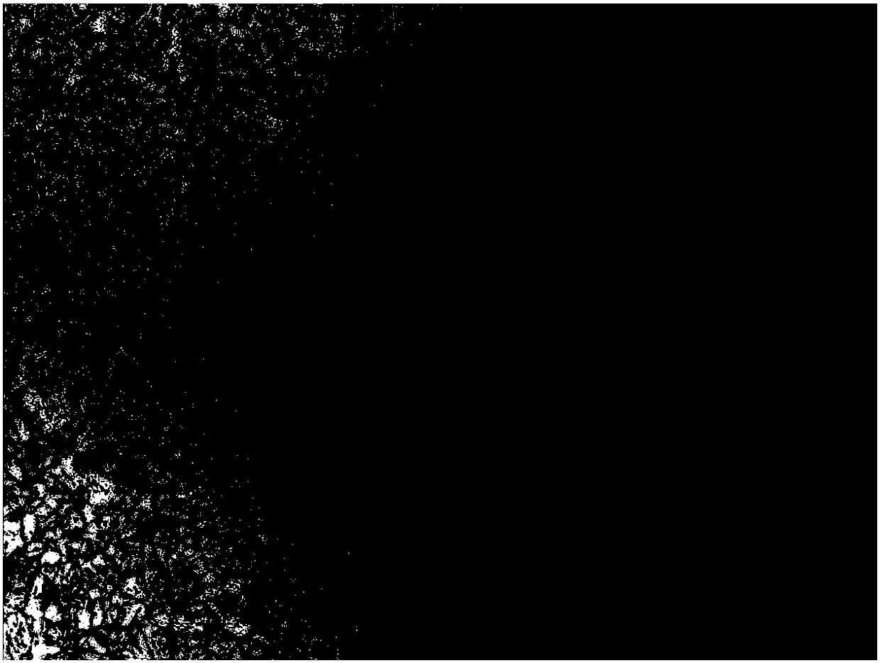 Smelting method of mo-nb-ti-mg steel to improve weldability