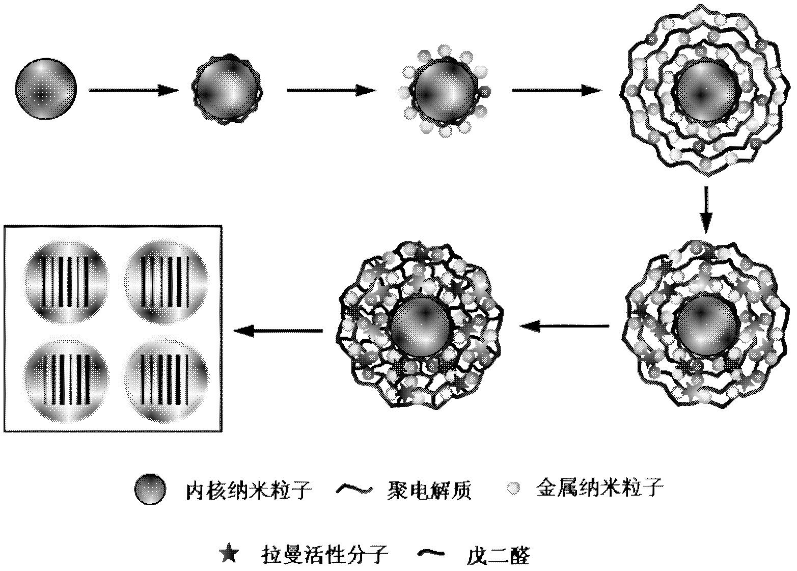 Raman coding microspheres and preparation method thereof