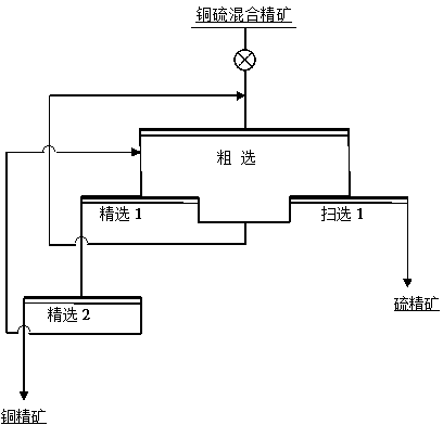 Inhibitor of pyrite and application thereof