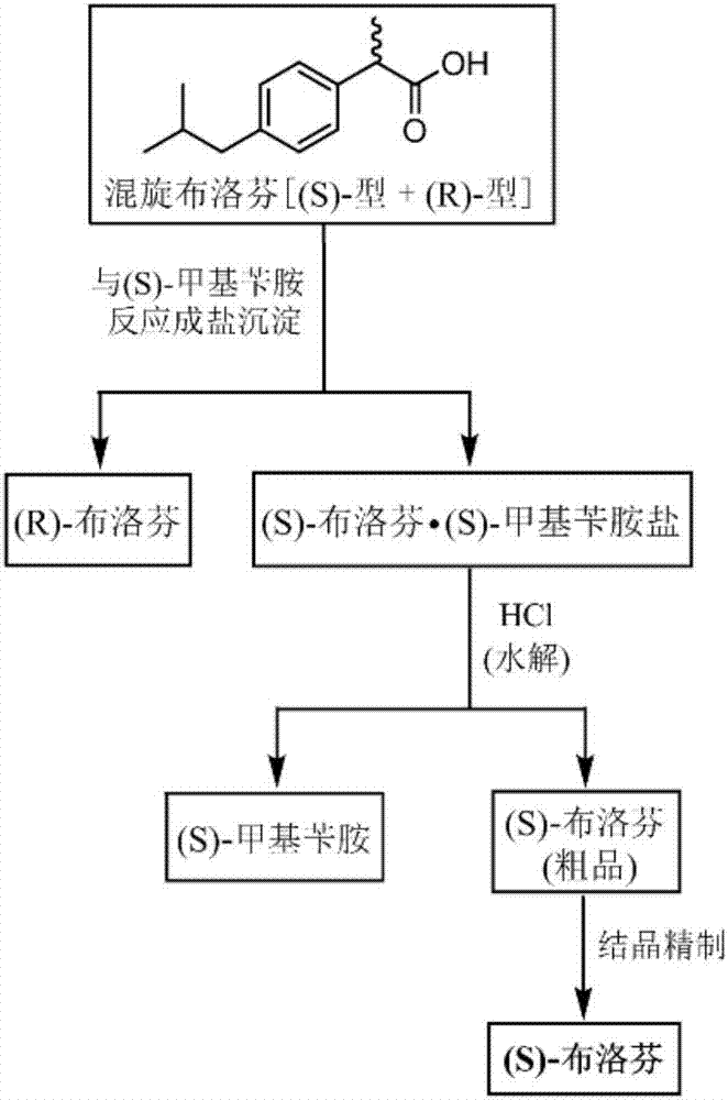 Ibuprofen splitting technology and purifying method based on splitting technology