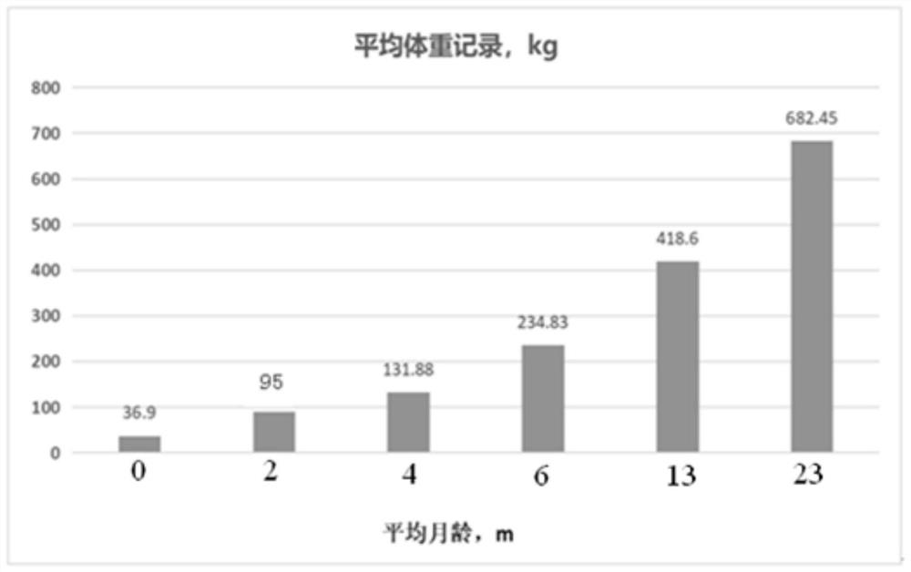 Calf feed