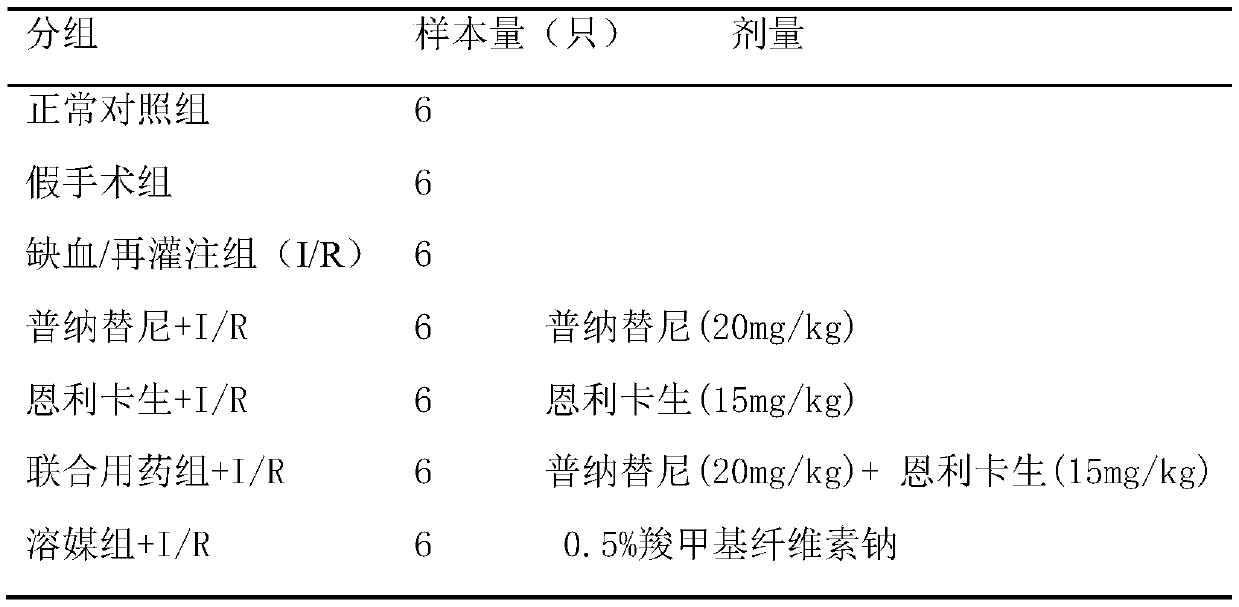 A kind of pharmaceutical composition and application for preventing or treating ischemia/reperfusion injury