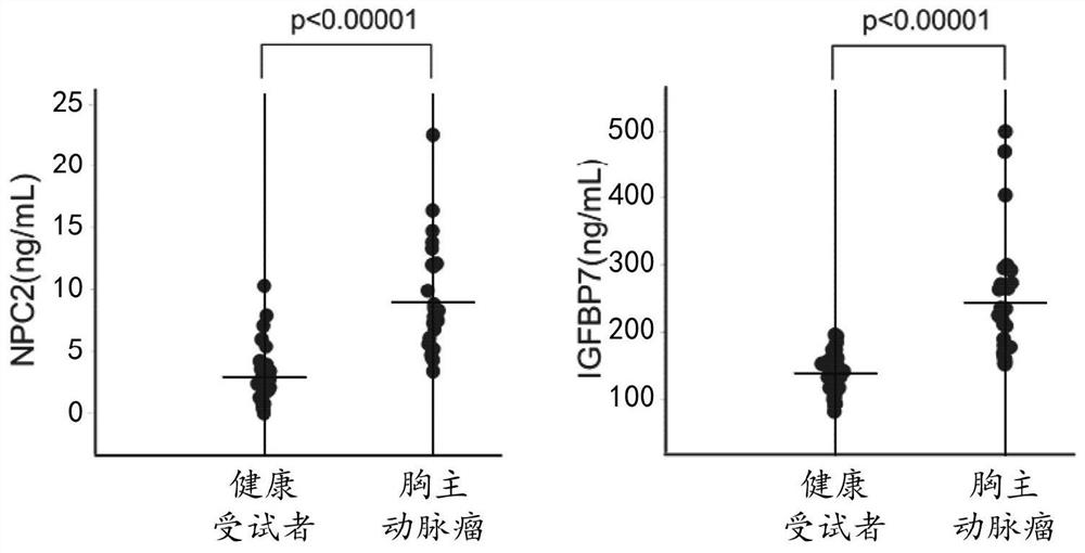 Novel aortic aneurysm marker