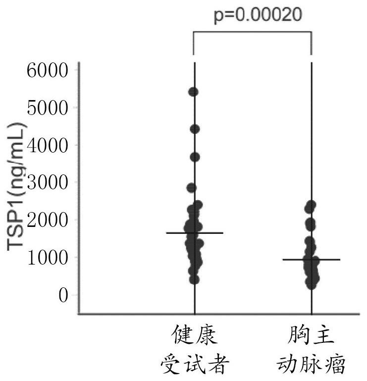 Novel aortic aneurysm marker