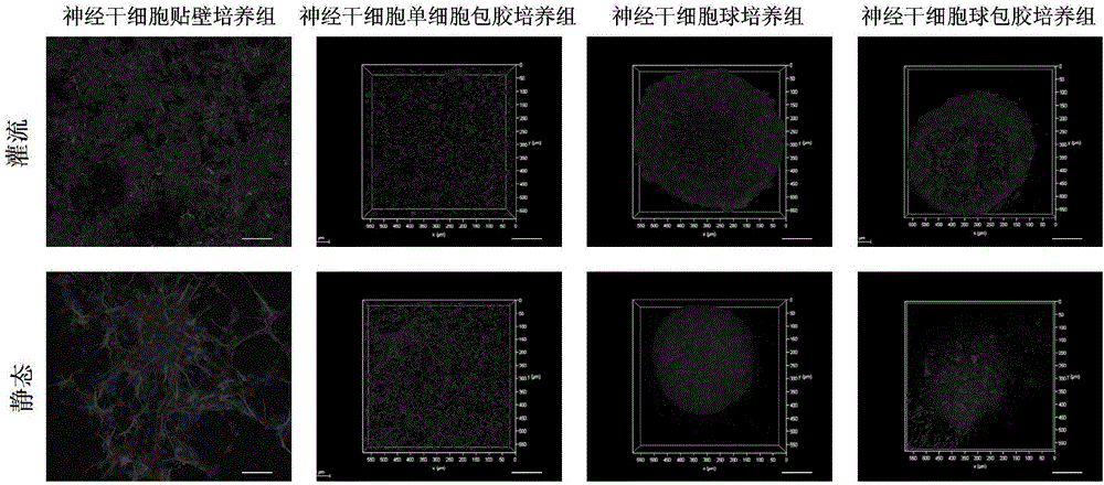 Assembly type multi-condition parallel-culture microfluidic control device and using method thereof