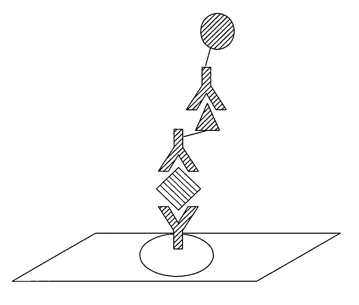 Detection apparatus