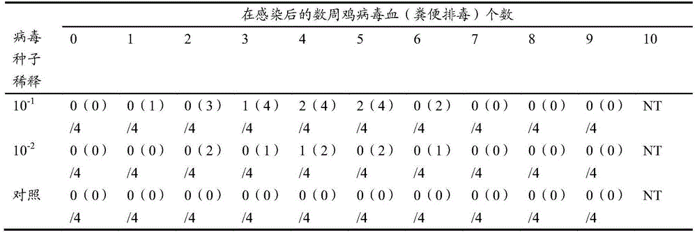 Hepatitis E virus-like particle vaccine preparation method and application