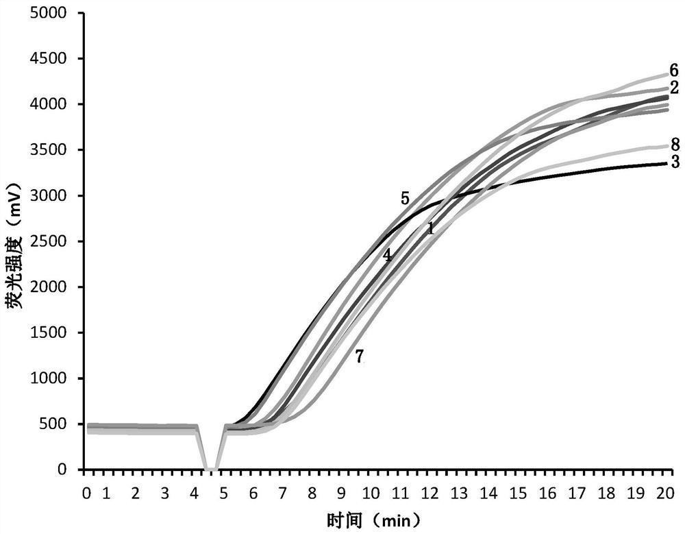 Real-time fluorescence RPA detection primer of ceratocystis fimbriata and application of real-time RPA detection primer