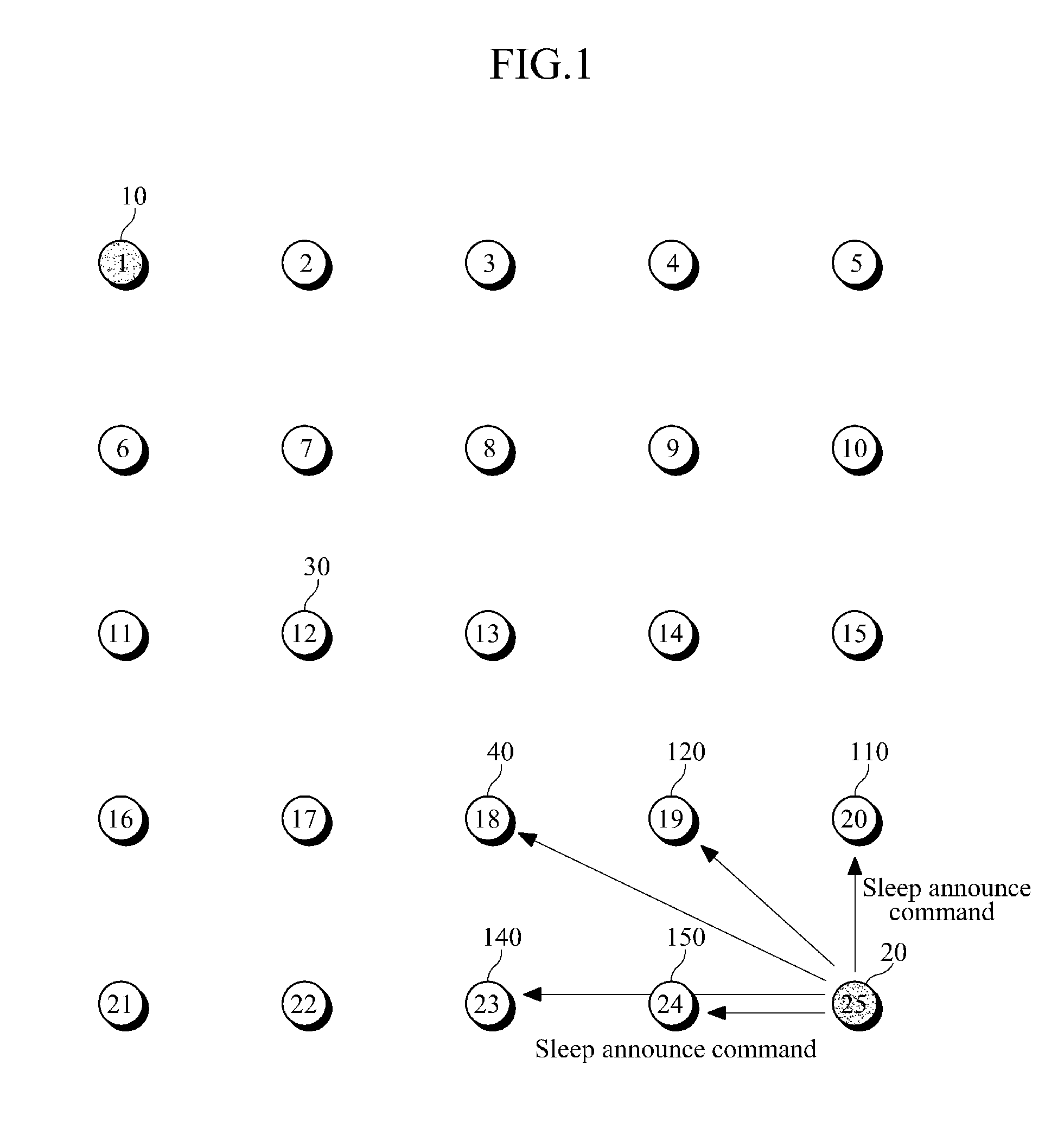 Routing path establishment apparatus and method in zigbee network