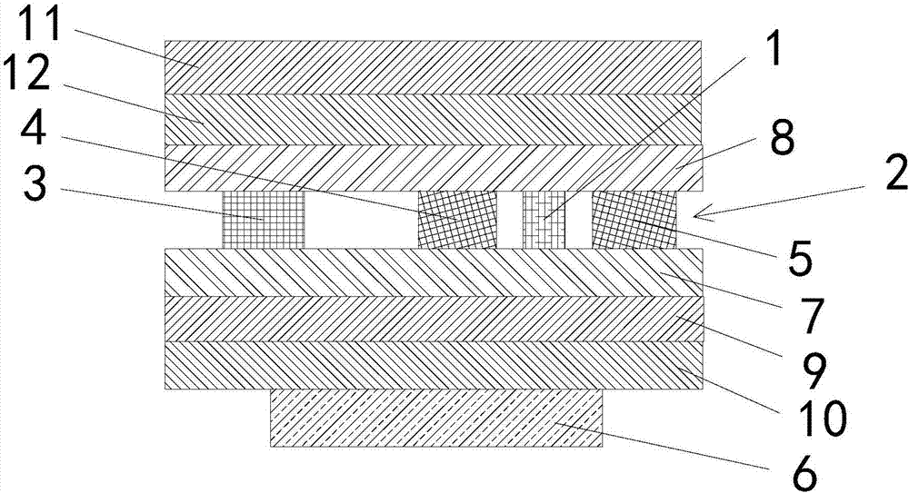 Organic light emitting diode (OLED) display screen and electronic equipment