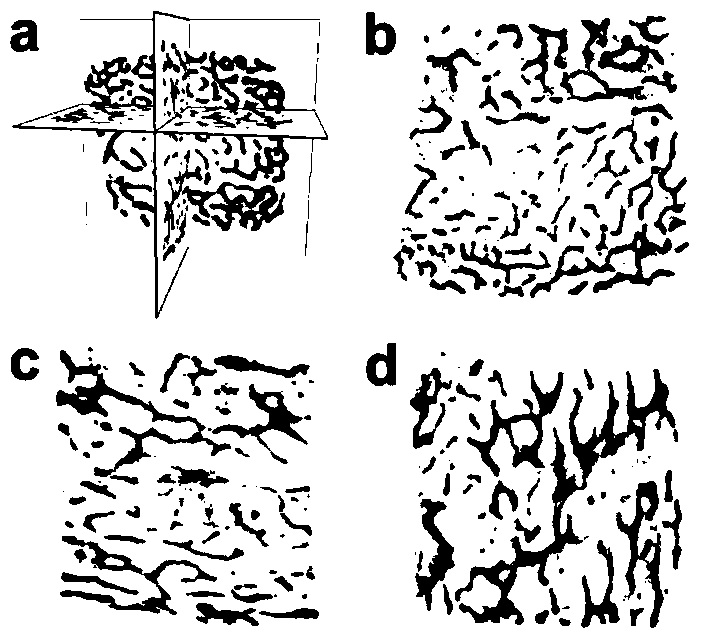 Method for preparing dual-factor carrying type hybrid bionic bone scaffold and application of dual-factor carrying type hybrid bionic bone scaffold