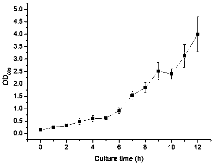 Aureobasidium pullulans and method for fermenting to produce pulullan thereof