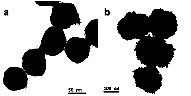 Gold-silver nanoflower particle with core-shell structure, as well as preparation method and application thereof