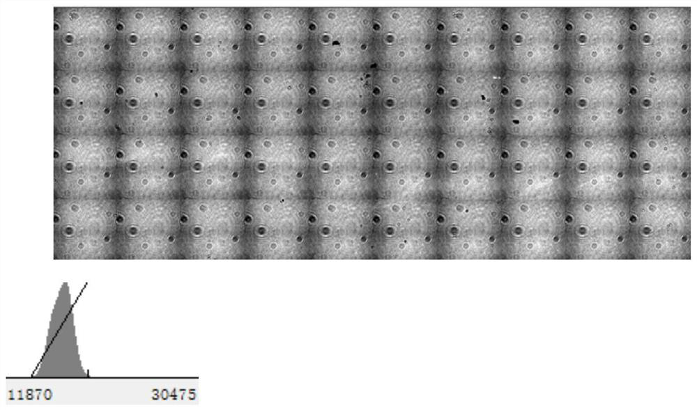 Polymer, chip and preparation method and application thereof