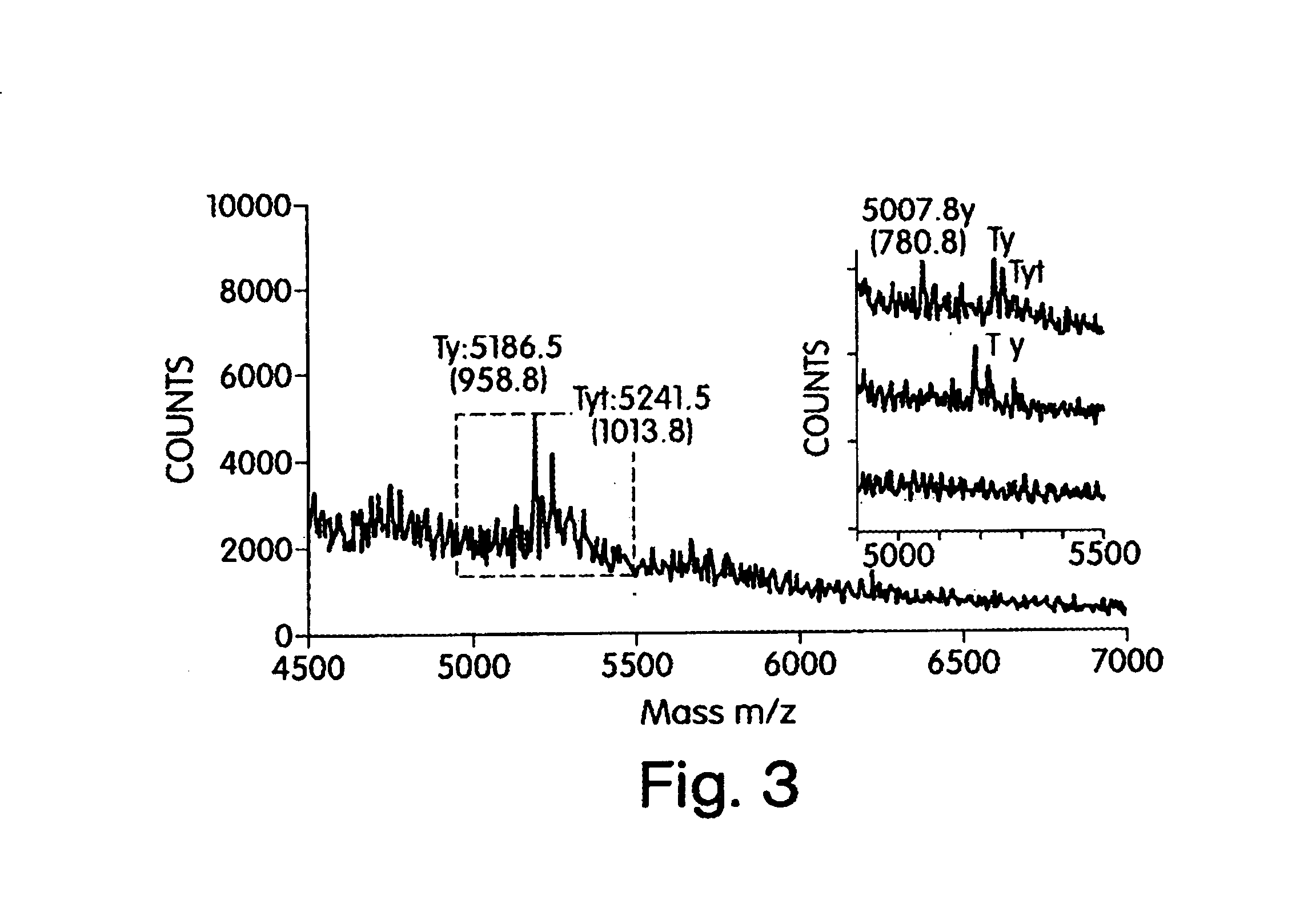 Methods and products related to the analysis of polysaccarides