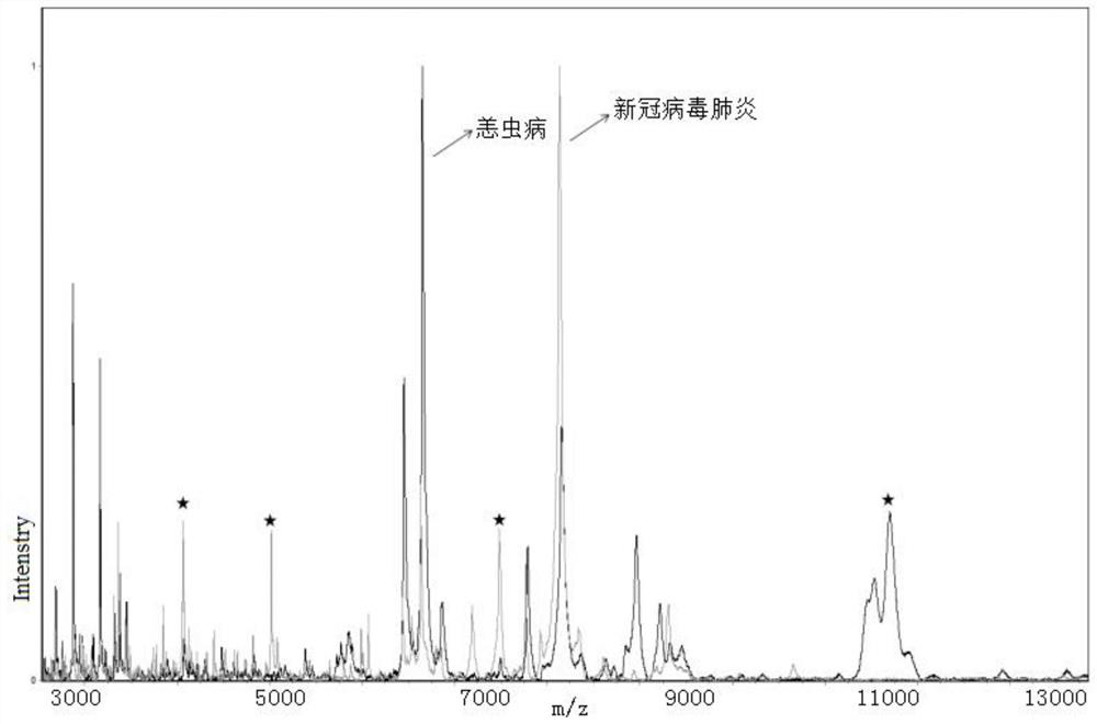 Kit for identifying new coronavirus by applying mass spectrum system and using method thereof