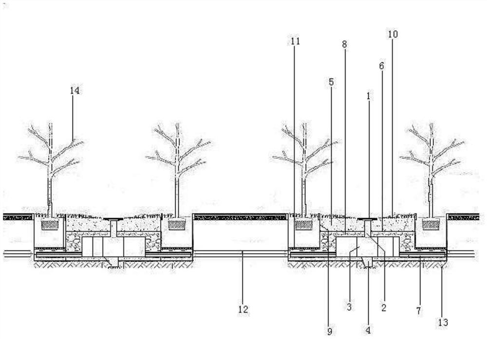 Ecological tree pond system and construction method