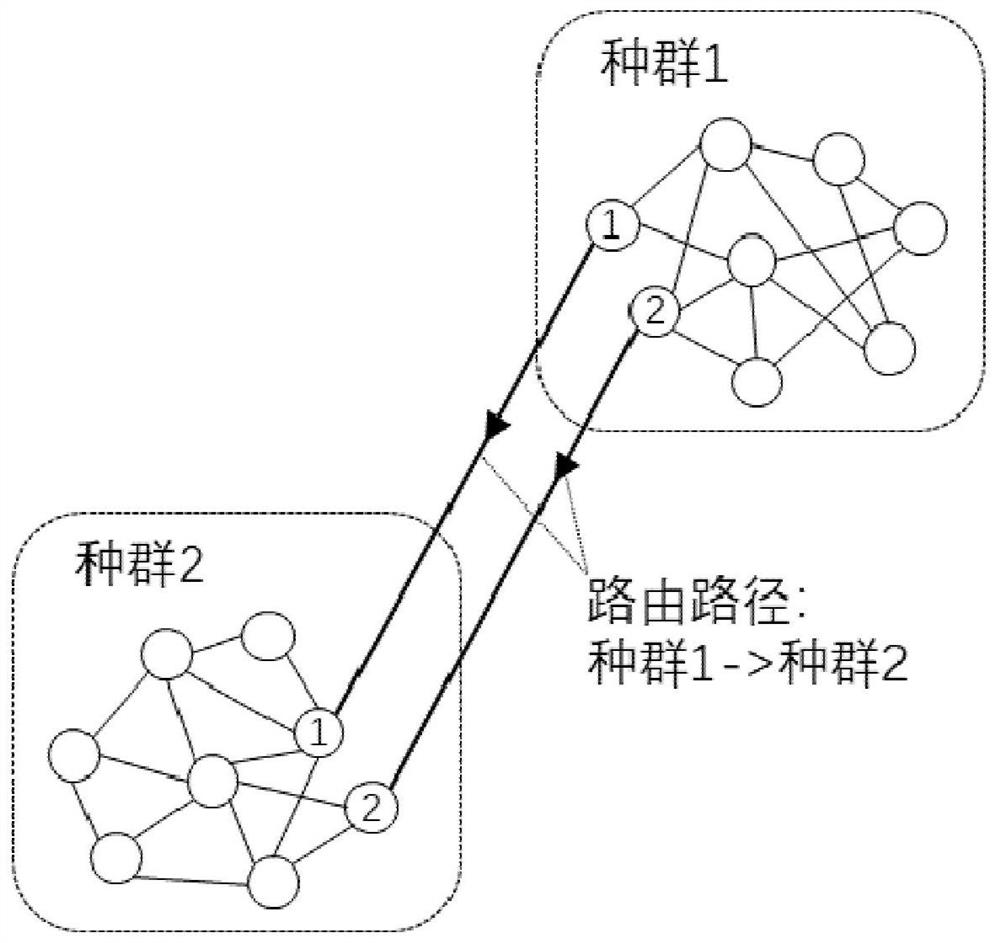 Swarm clustering and swarm routing method for large-scale brain-like computing network