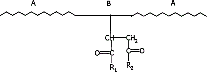 Novel hydrophilic adhesive compositions