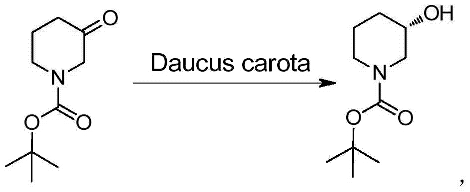Method for preparing chiral N-tert-butyloxycarboryl-3-hydroxypiperidine