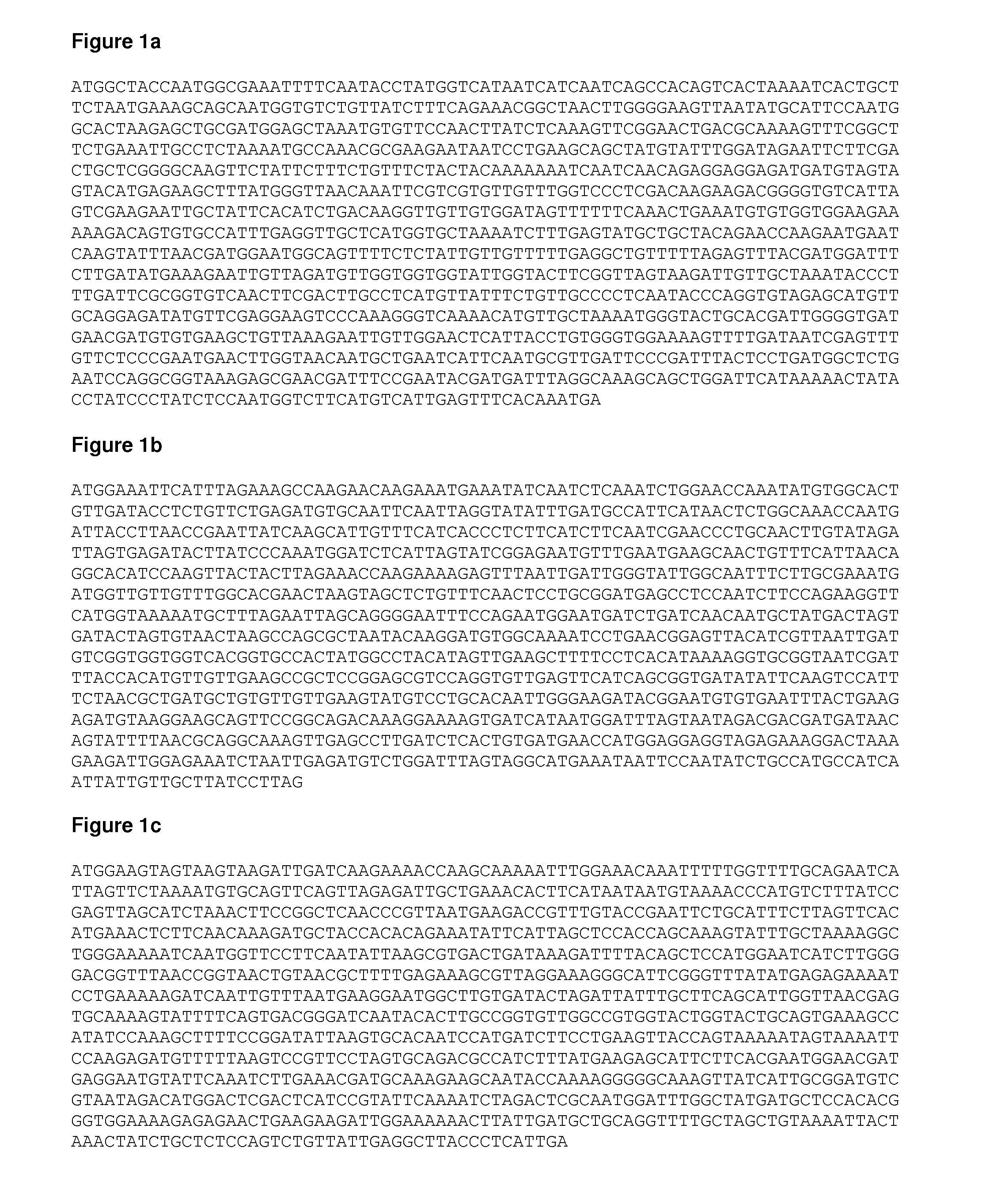 Methyltransferase nucleic acids and polypeptides