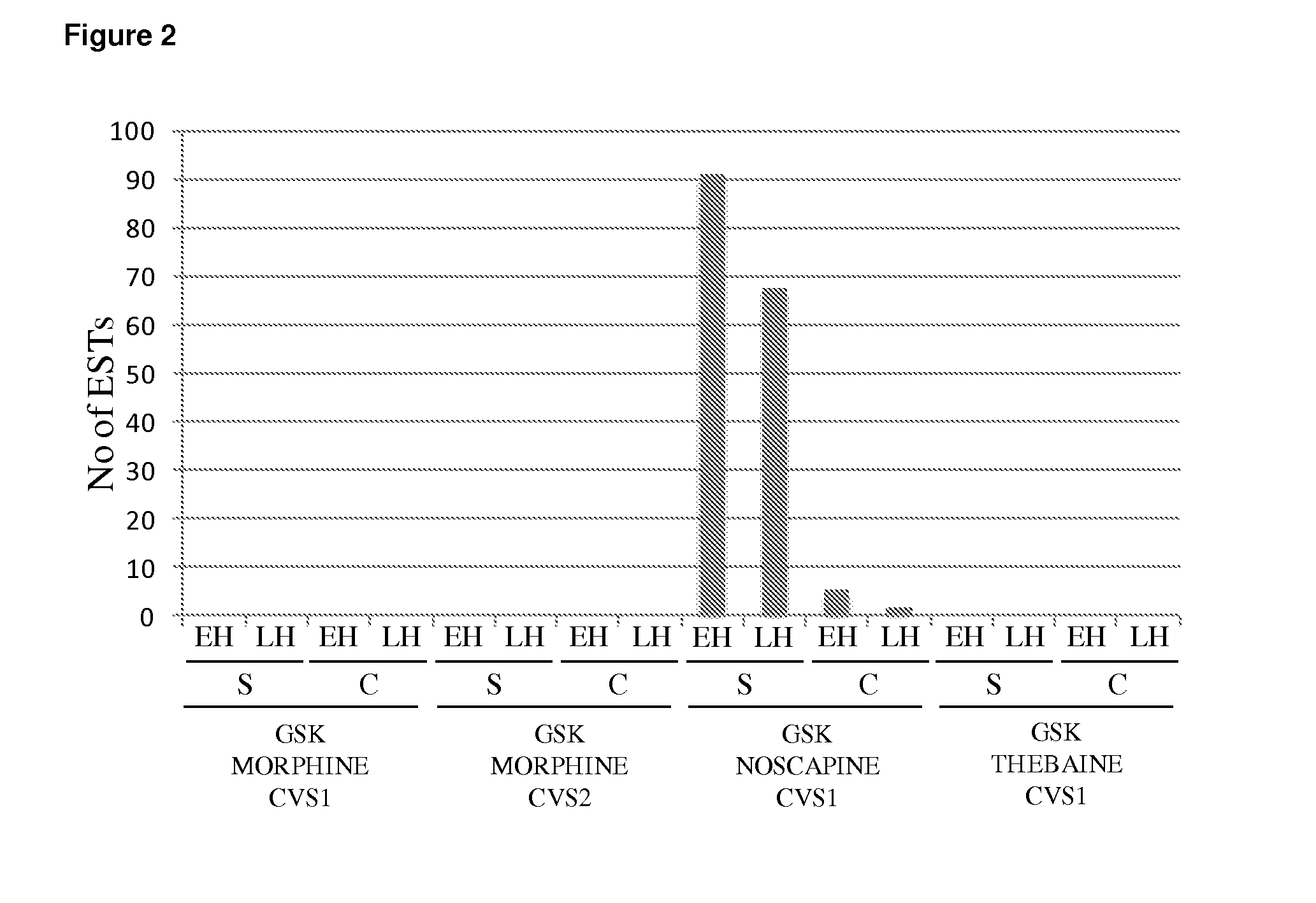 Methyltransferase nucleic acids and polypeptides