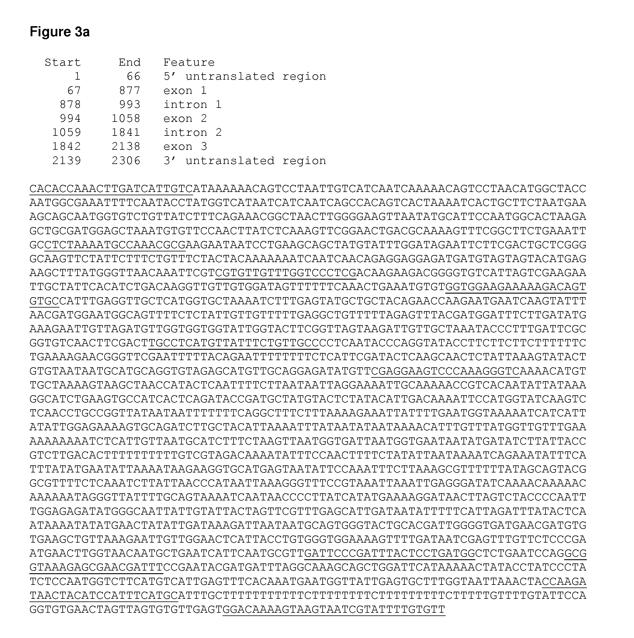 Methyltransferase nucleic acids and polypeptides