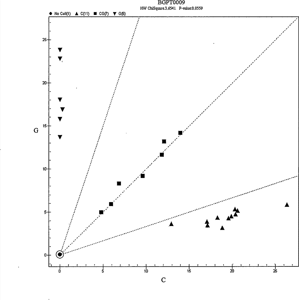 Multiple PCR (polymerase chain reaction) primer combination and detection method used for human paternity test