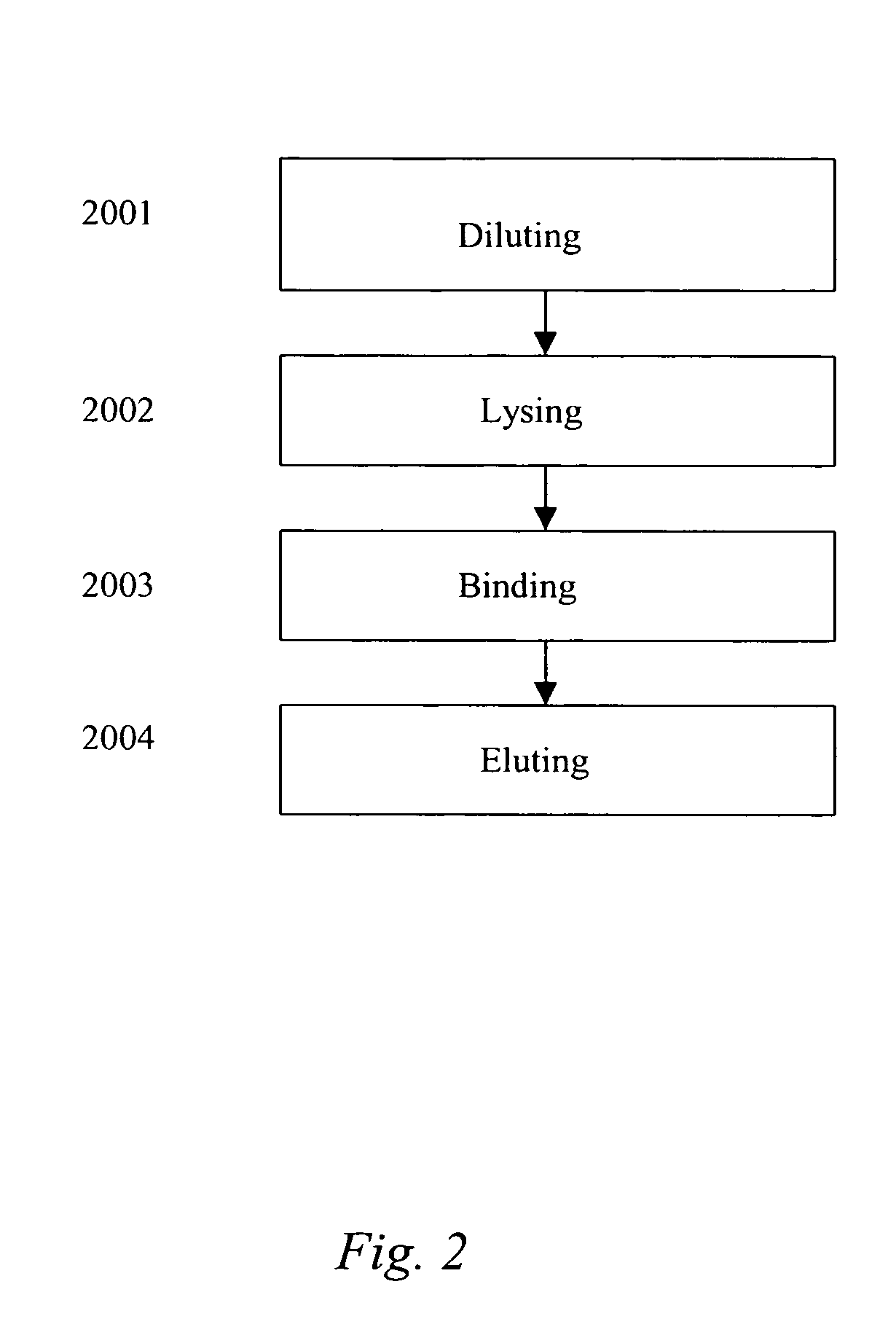 Nucleic acid purification chip