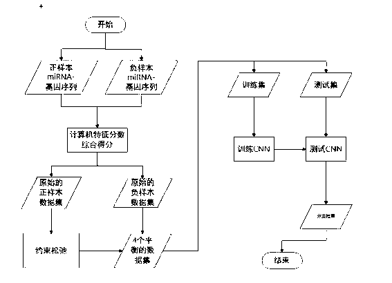 Prediction method of miRNA target genes based on convolutional neural network