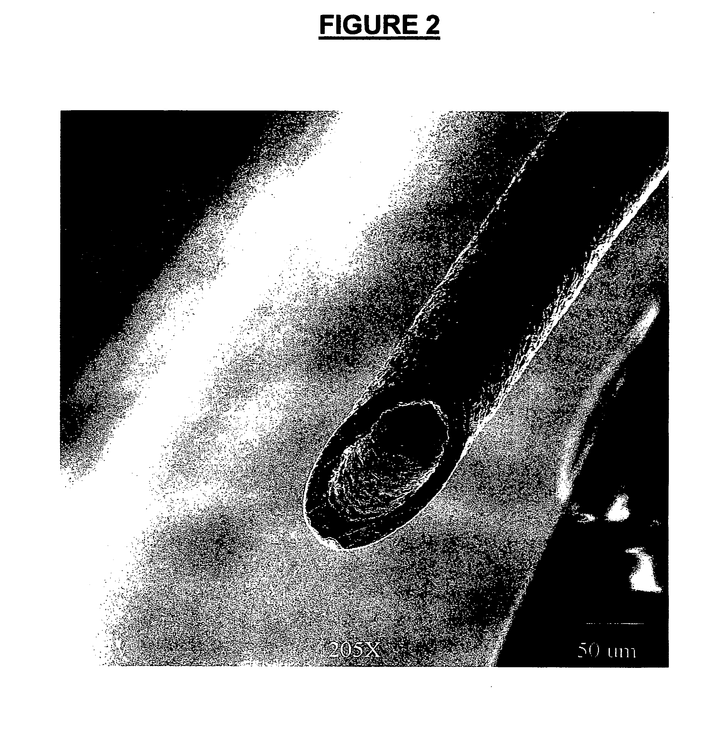 Metal, ceramic and cermet articles formed from low viscosity aqueous slurries