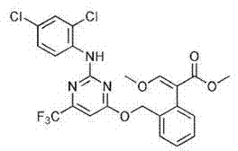 Insecticide composition with insecticides of pyriminostrobin and tetronic acid