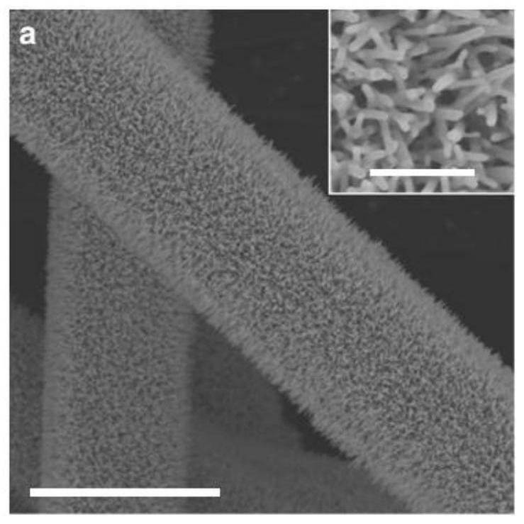 A kind of cobaltous oxide flakes, its preparation method and its application in visible light catalyzed total splitting of water