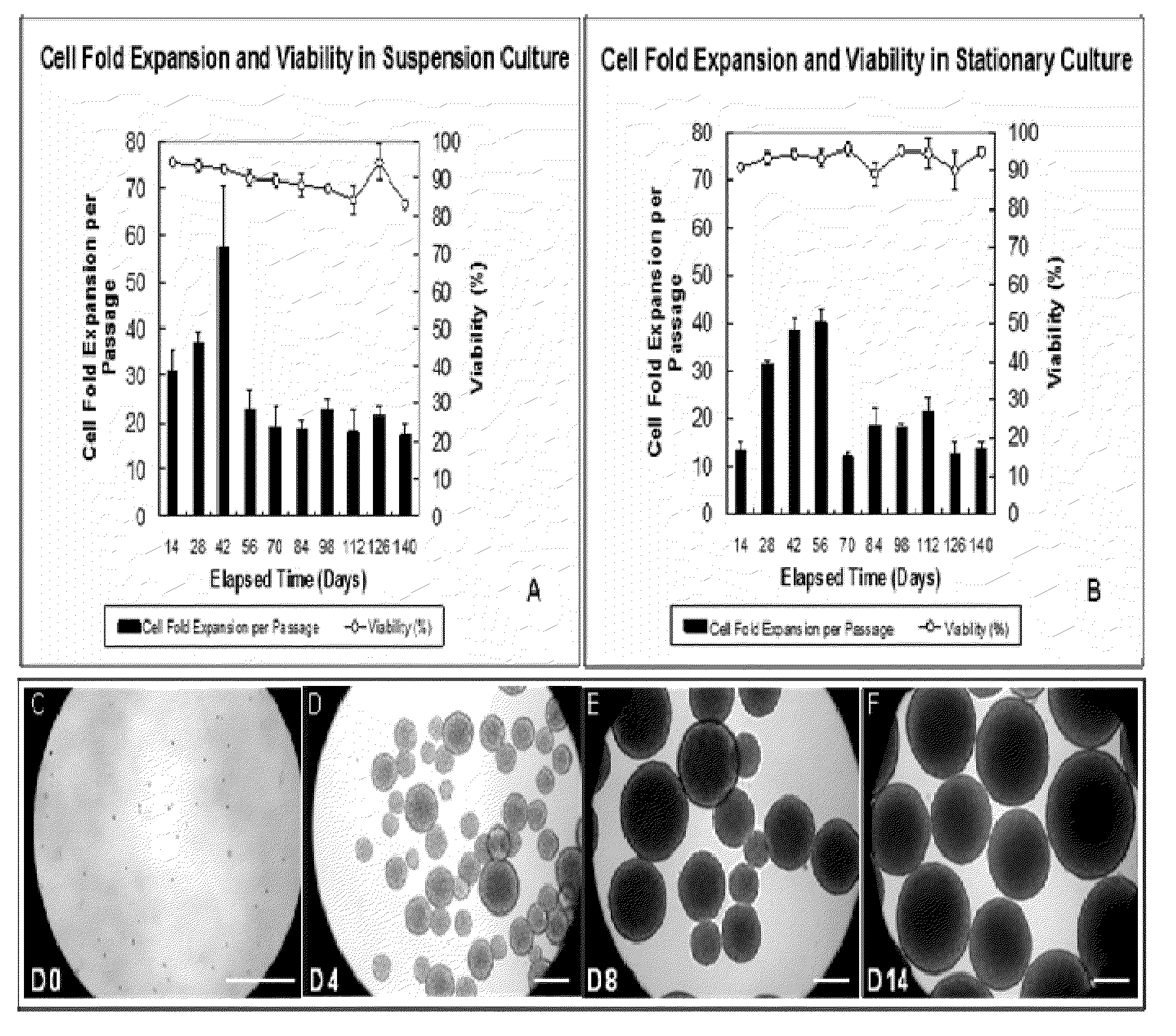 Methods and Compositions for Culturing of neural Precursor Cells