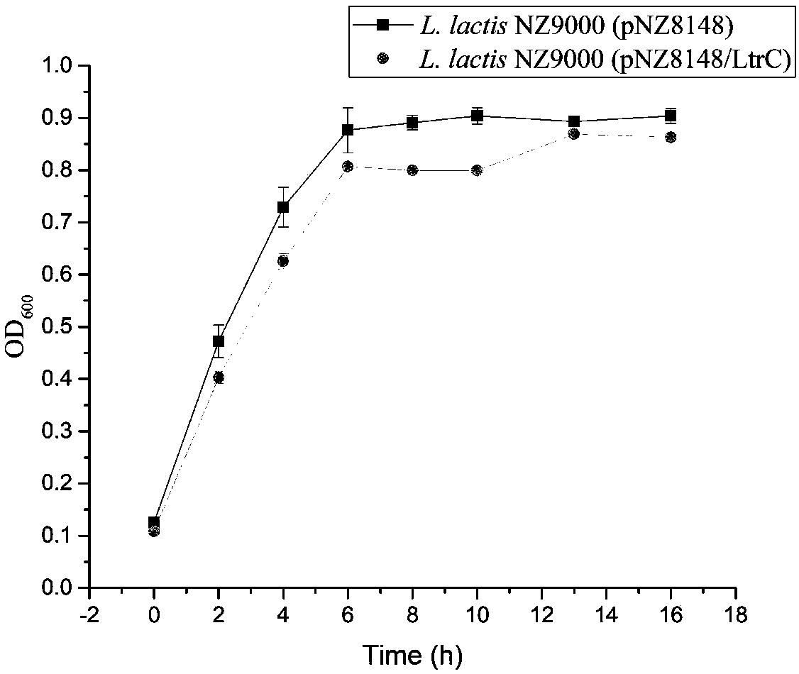 Acid stress resistant recombinant lactic acid bacteria and construction method thereof