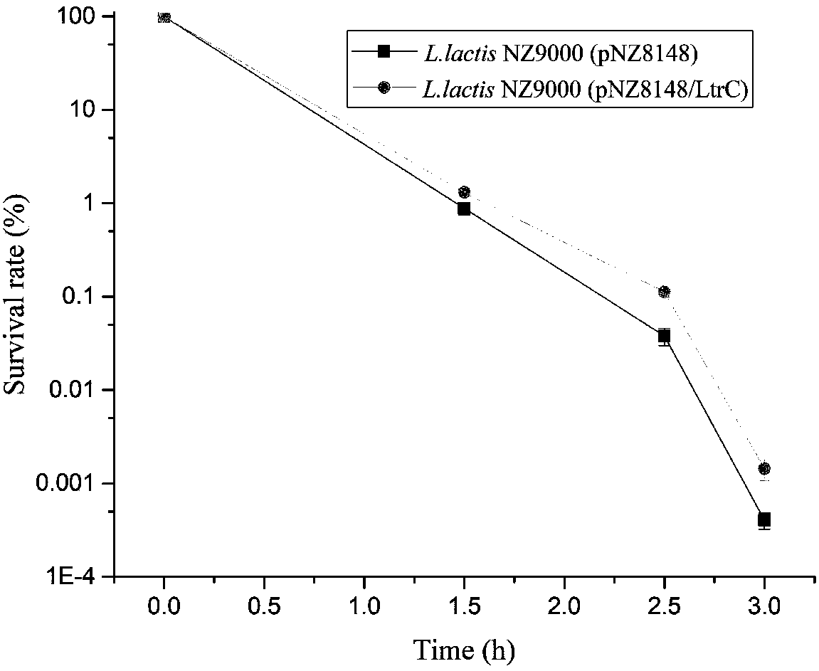 Acid stress resistant recombinant lactic acid bacteria and construction method thereof