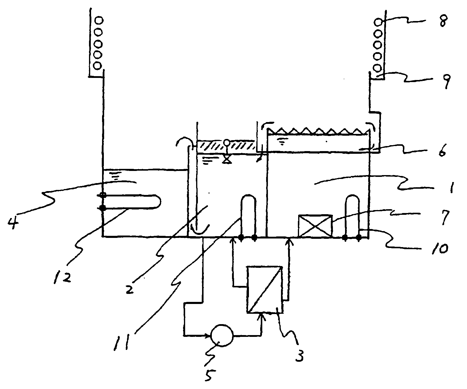 Process for removing water and apparatus for removing water