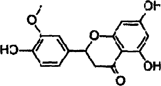 Method for preparing homoeriodictyol from mistletoe