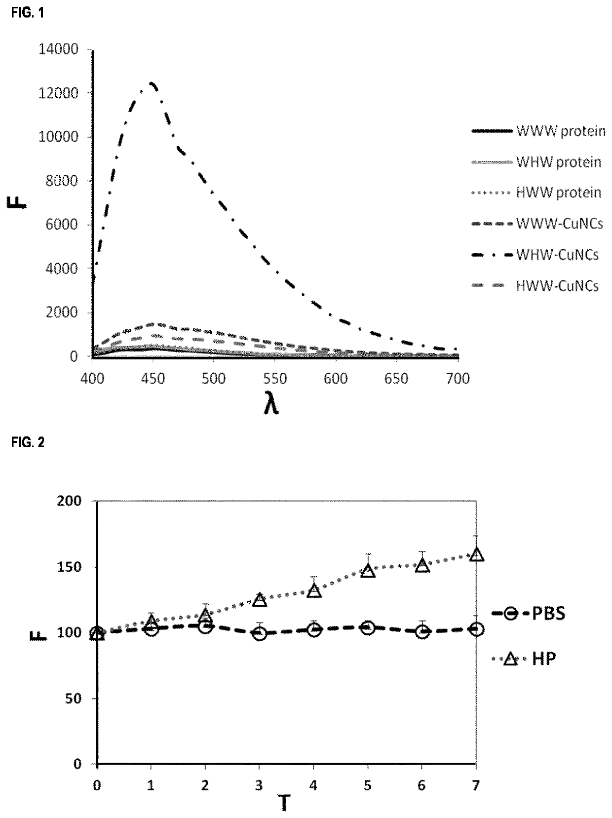 Metal nanocluster scaffolds