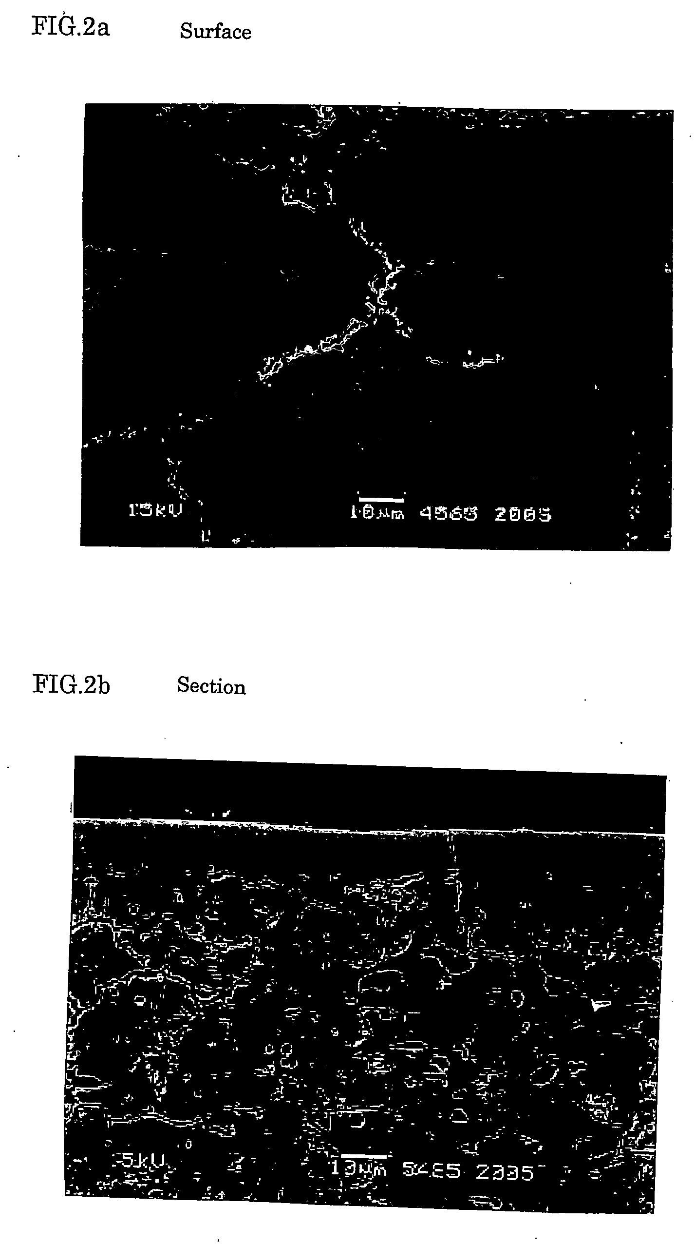 Spray coating member having excellent injury resistance and so on and method for producing the same