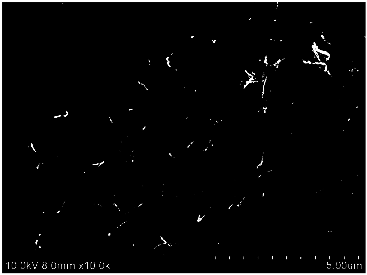 Carbon three-dimensional structural electrode of secondary battery and preparation method and application of carbon three-dimensional structural electrode