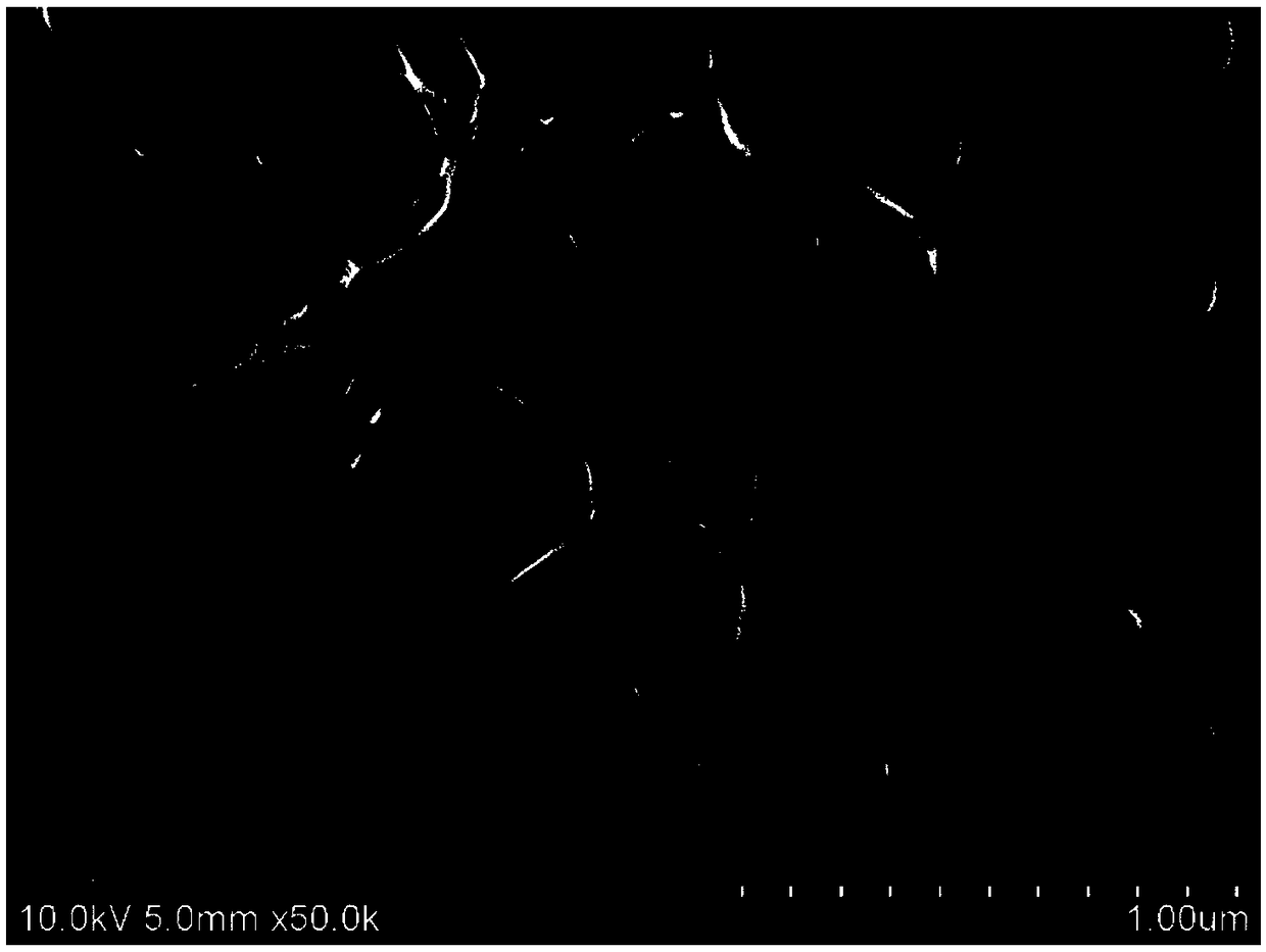 Carbon three-dimensional structural electrode of secondary battery and preparation method and application of carbon three-dimensional structural electrode