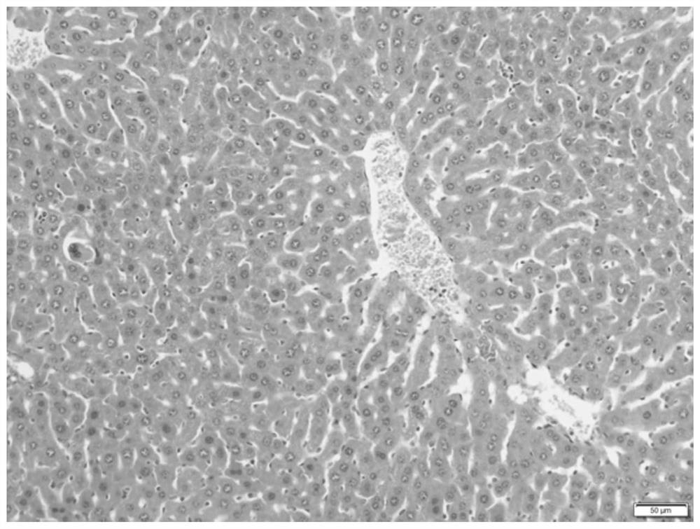 Yunzhi schisandra extract and its preparation method and application