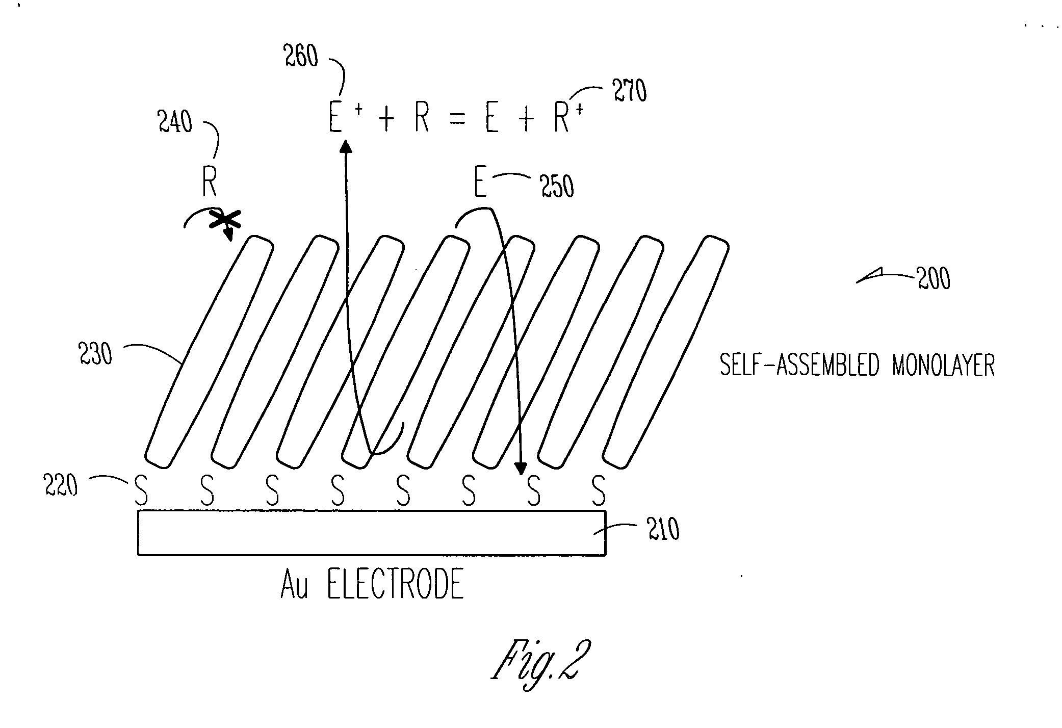 Redox polymer nanoparticles