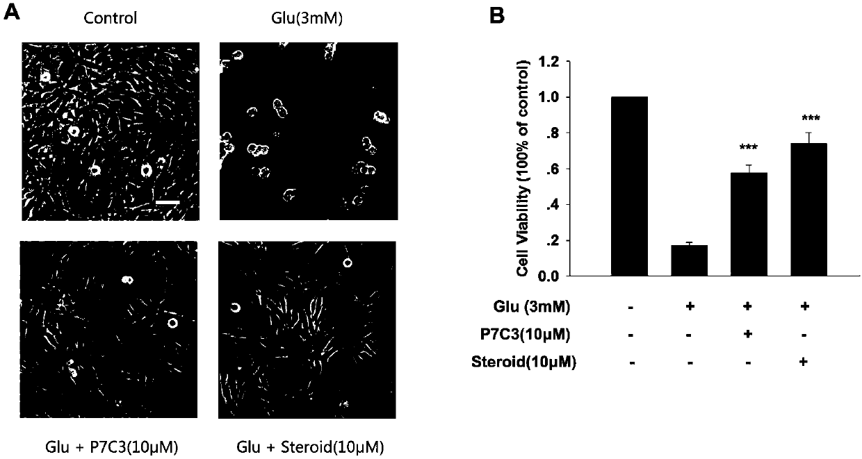 Application of cholest-4-ene-3,6-dione in preparing drug for treating or preventing neuron injury