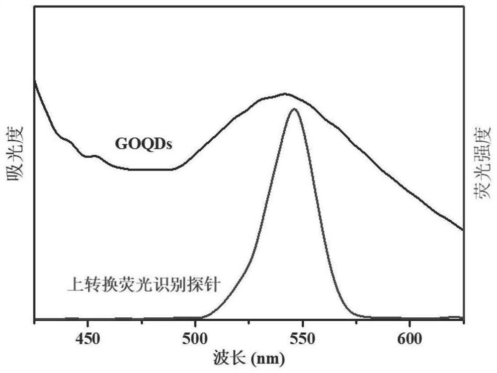 Preparation method of up-conversion fluorescence recognition probe as well as product and application of up-conversion fluorescence recognition probe